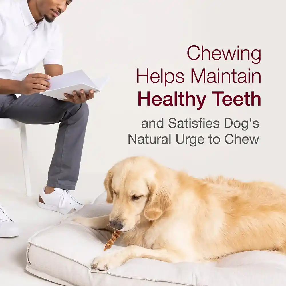 Healthy Teeth